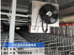 养猪厂不锈钢暖风机